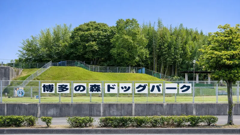 博多の森 ドッグパーク