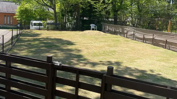 小中型犬用エリア