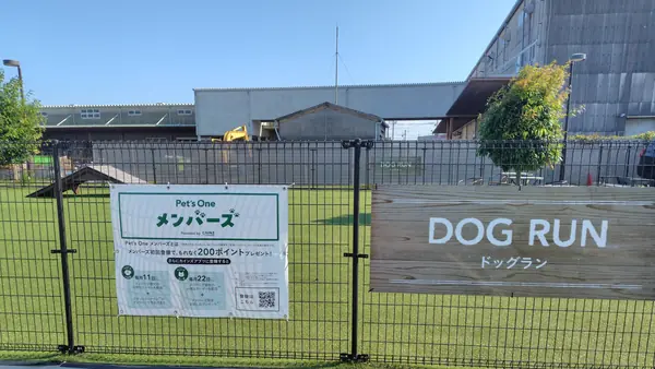 カインズ 水戸店