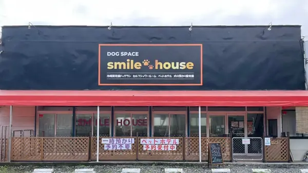 DogSpace SMILEHOUSE 