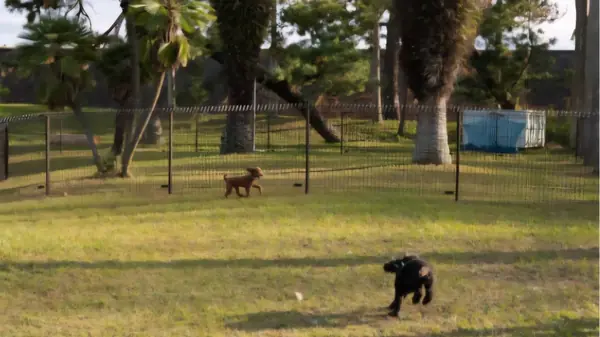 プライベートドッグラン（小型犬エリア）