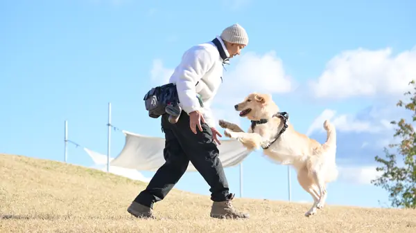 A Growing Hill Dogrun