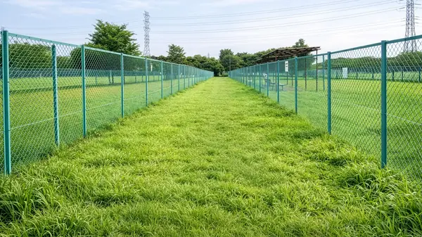 神代植物公園ドッグラン