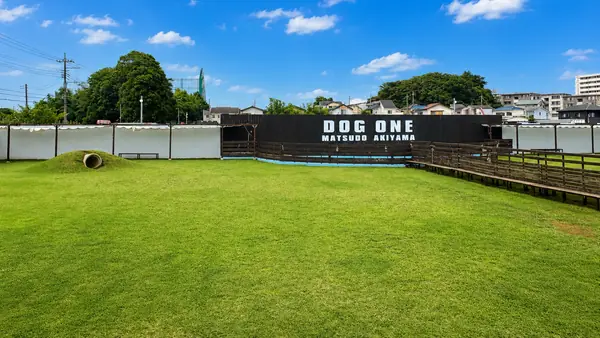 DOG ONE 松戸秋山