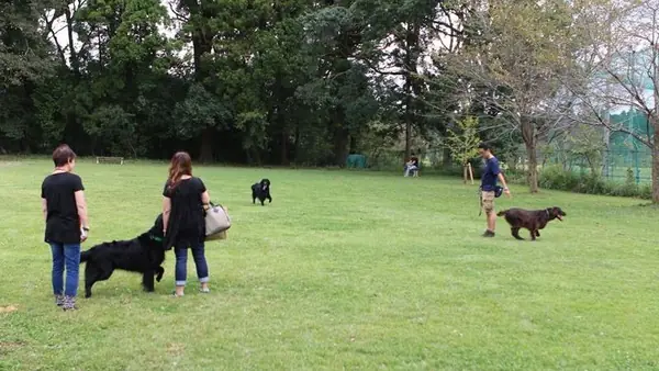 Doggy Park BELL HOUSE ドギーパーク ベルハウス