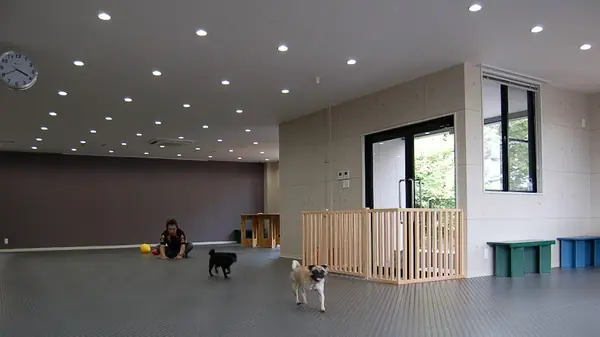 Dog Life Support 9689(クロパグ)