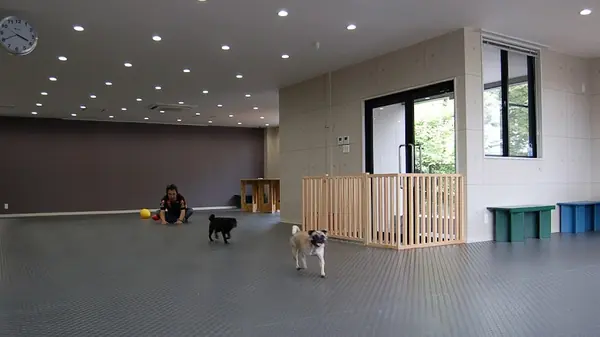 Dog Life Support 9689(クロパグ)