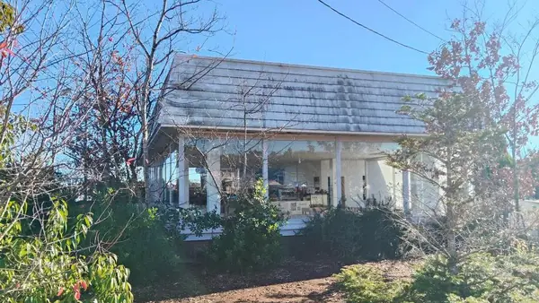 Dog Barrier free Cafe 茂原珈琲