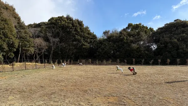 浜松ドッグガーデン