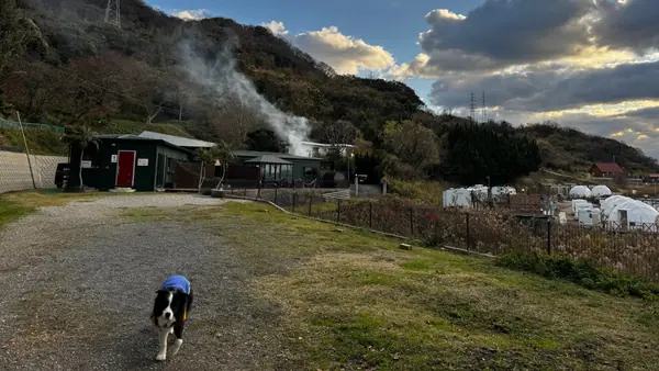 駐車場からドッグランを望む