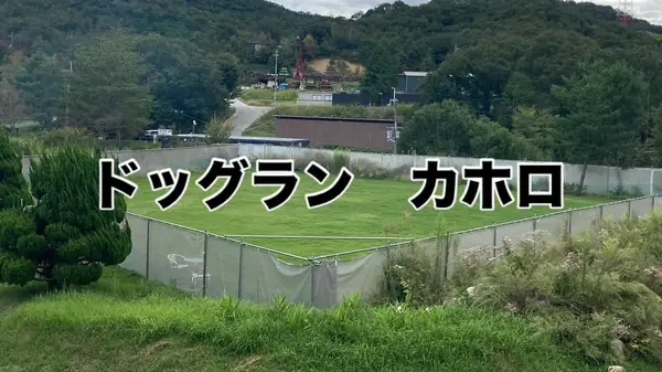 ハワイアンドッグラン カホロ