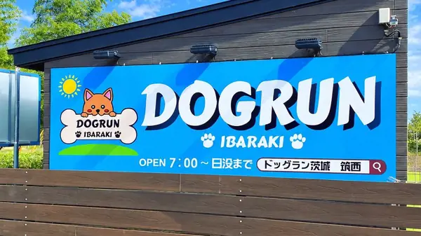 ドッグラン茨城