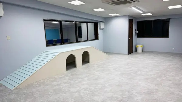 DOG SPACE TETO STREET