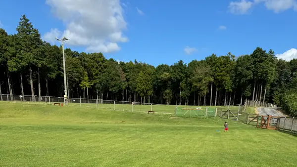 かすみがうらドッグ＆サイクル キャンプ場