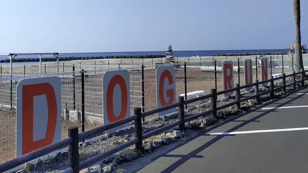 ドッグラン