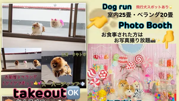 Dog 🐾café & Bar mint(ドッグカフェアンドバーミント)