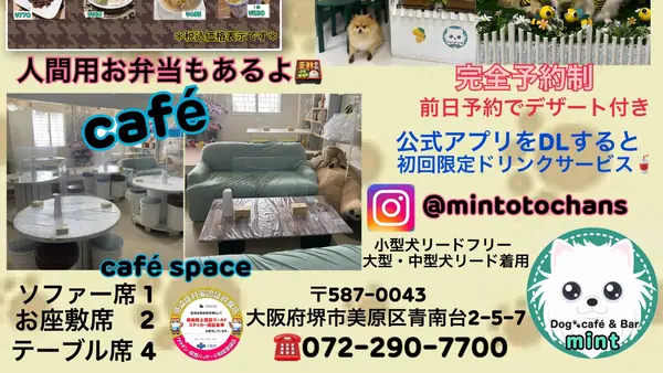 Dog 🐾café & Bar mint(ドッグカフェアンドバーミント)
