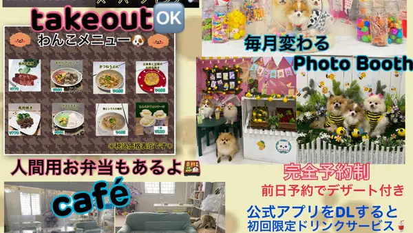 Dog 🐾café & Bar mint(ドッグカフェアンドバーミント)