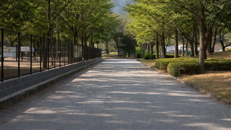 西部運動公園ドッグラン