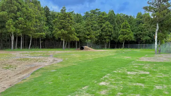 DOX FIELD