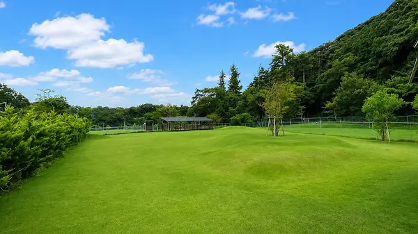 DOX FIELD