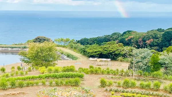 日本海を眺めながら、自然の草の上で遊べます！