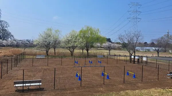 ビアスパークしもつま ドッグラン