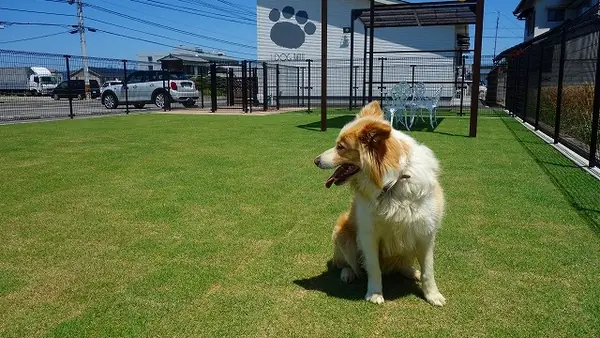 アイドッグラティ高松店