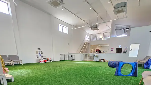 Sunny Sonny(サニーサニー)　