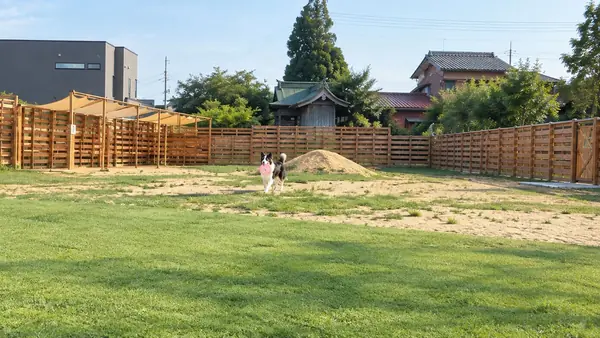 中大型犬専用ドッグラン