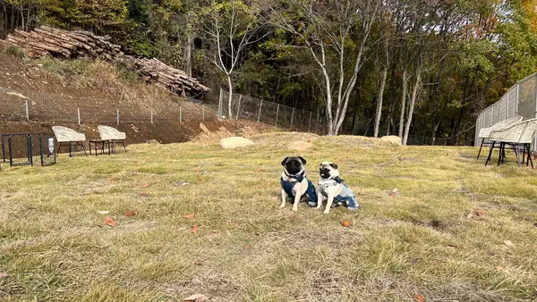おそとのてらす ドッグラン