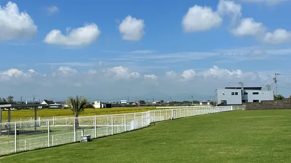 エネドッグパーク