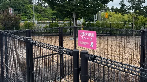 セデッテかしま ドッグラン