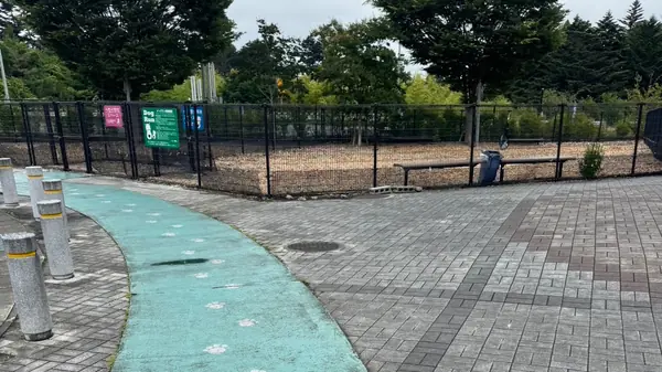 セデッテかしま ドッグラン