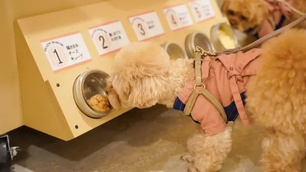 【おやつワゴン】