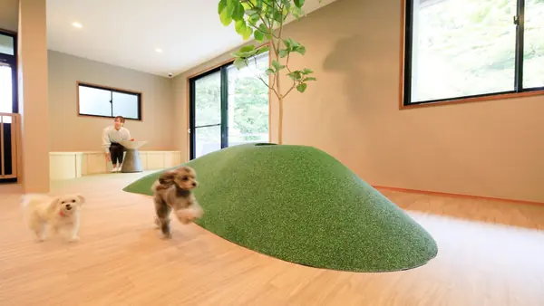 屋内ドッグラン