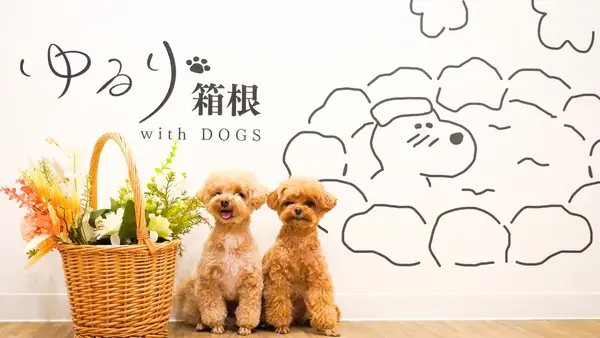 ゆるり箱根 withDOGS