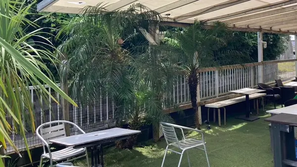 Surf & Dog Café iNKRABBiT