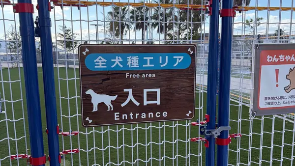 全犬種エリア