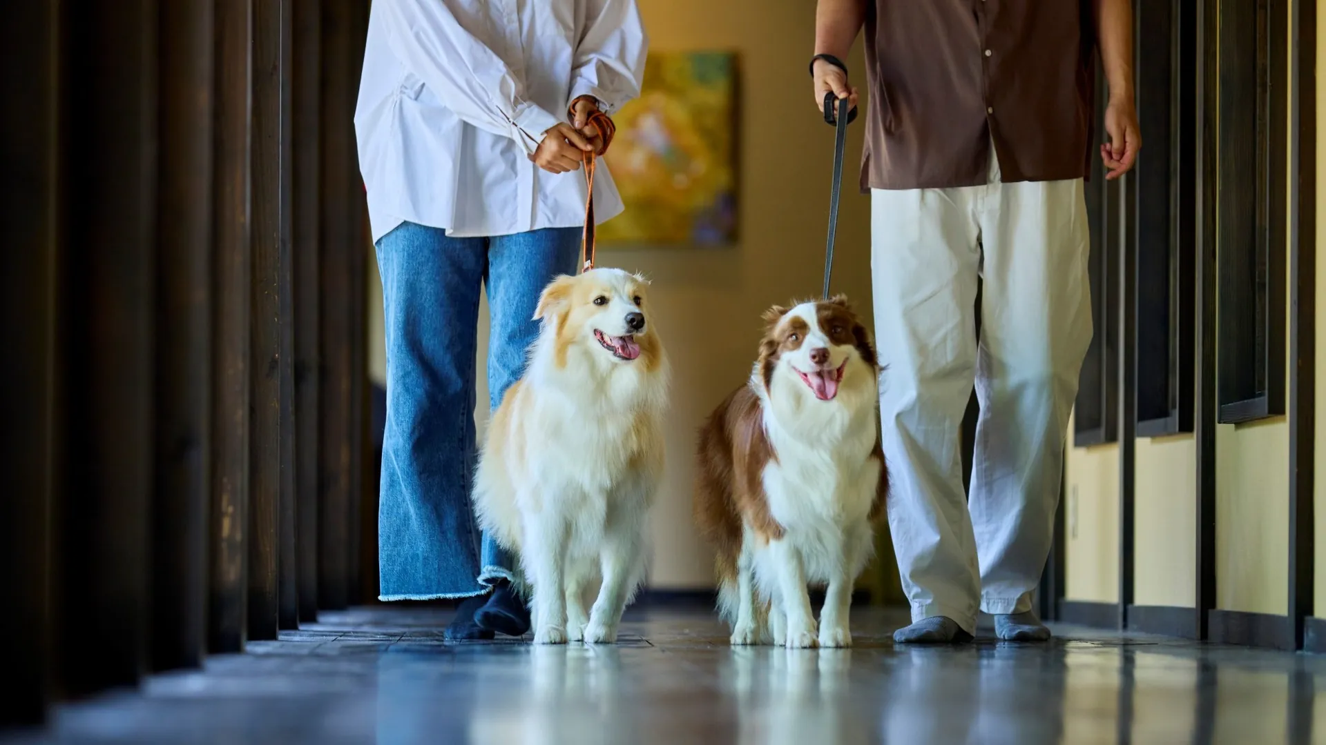愛犬と泊まれる古民家リトリート 赤城山 - 懐 - (あかぎやまふところ)