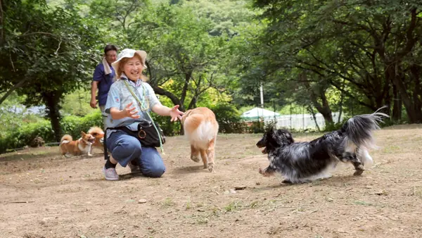 Dog Village台ヶ森