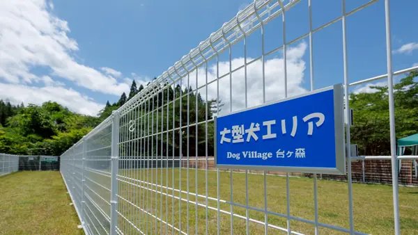 芝エリア（大型犬）