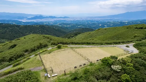 ドッグランから眺める駿河湾
