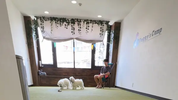 Doggy’s Camp（ドギーズキャンプ）