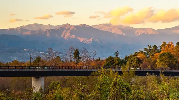 山梨県森林公園金川の森