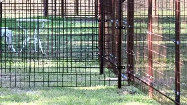 卸売市場西緑地 ドッグラン