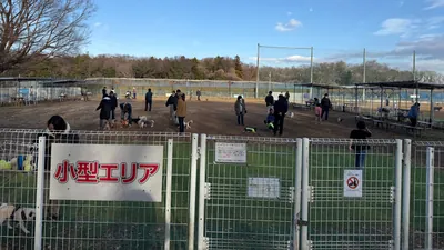 小型犬エリア
