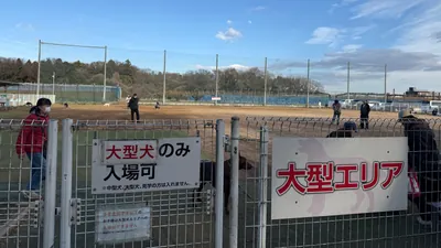 大型犬エリア