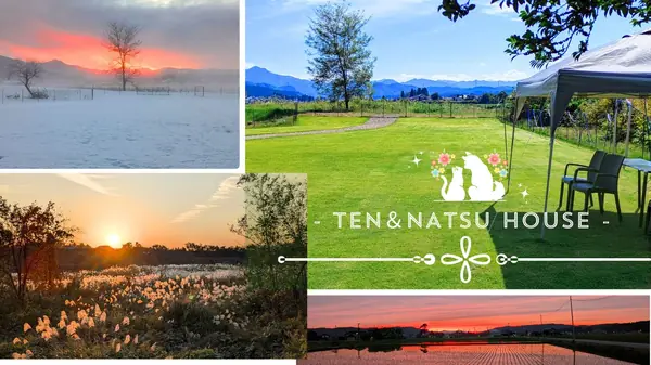 天と夏の家ドッグラン