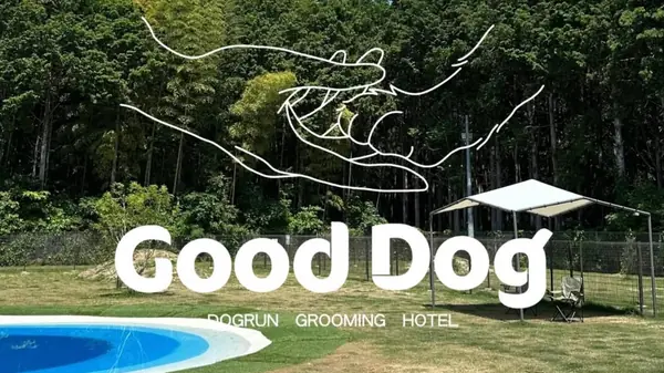 Good Dog